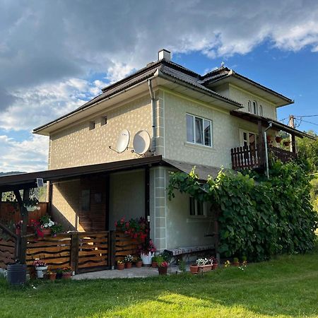 Casa Danut Villa Alsóvidra Kültér fotó