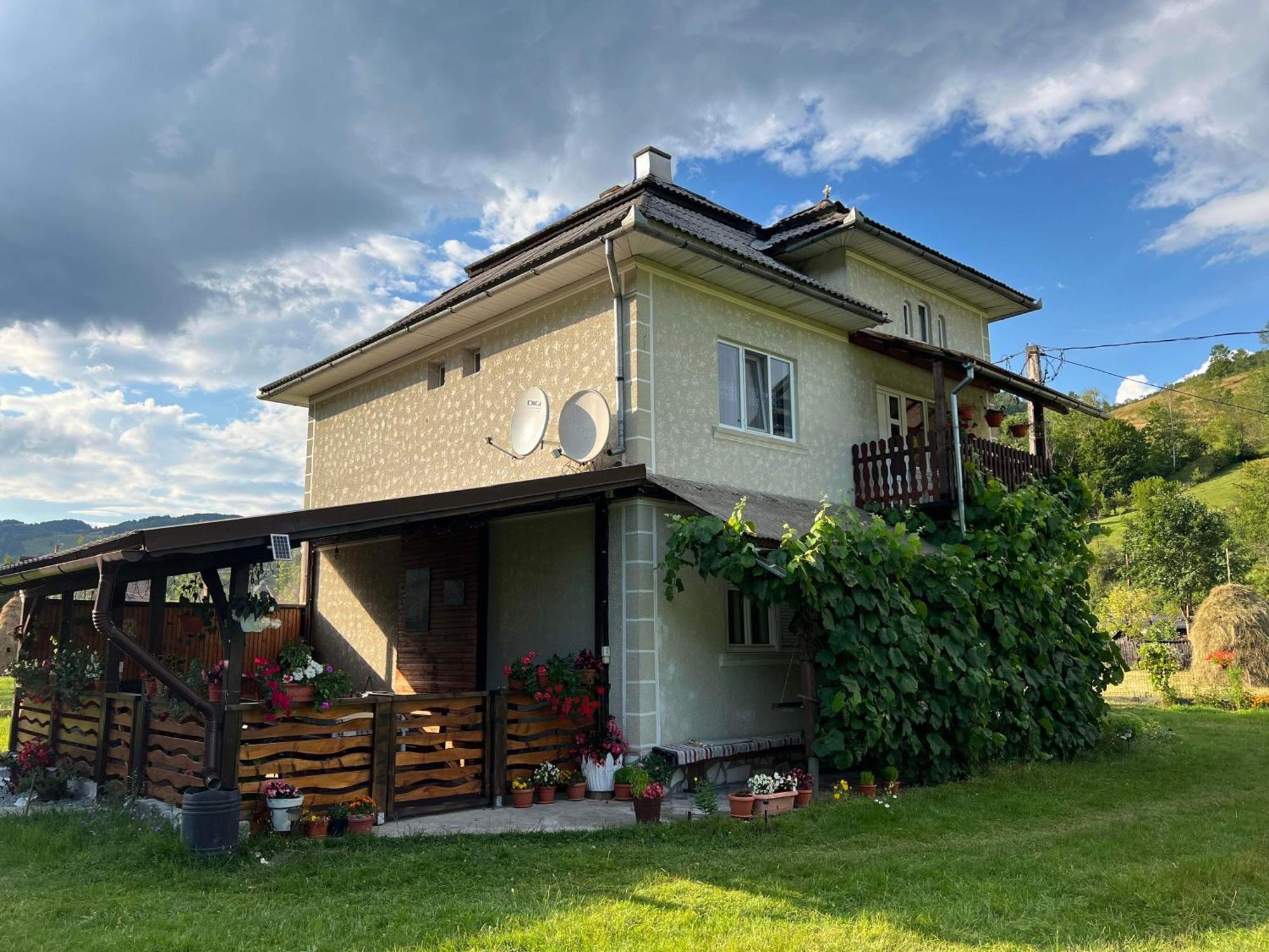 Casa Danut Villa Alsóvidra Kültér fotó
