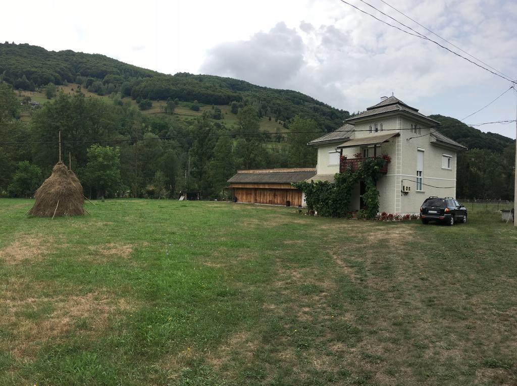 Casa Danut Villa Alsóvidra Kültér fotó